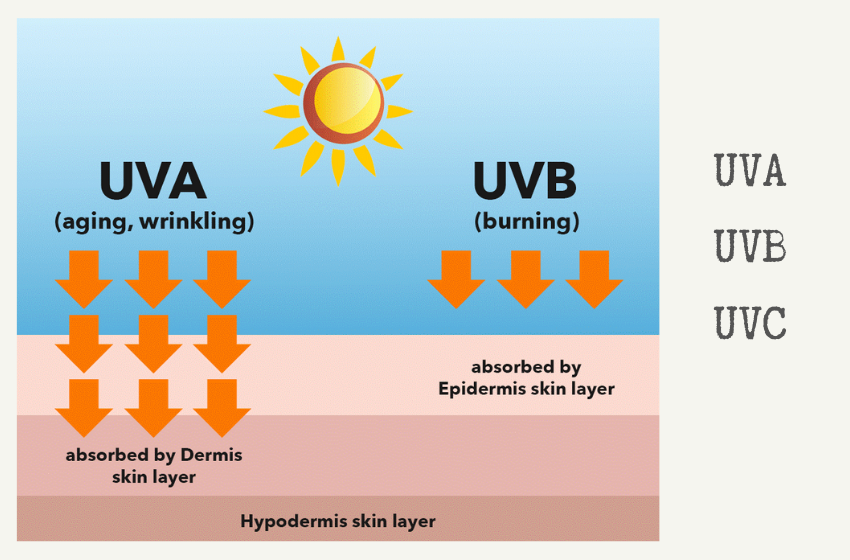 Tia UV có mấy loại? Loại nào có hại với da?